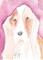 Art: Basset Hound by Artist Padgett Mason
