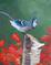 Art: Blue Jay by Artist Padgett Mason