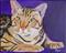 Art: Ocicat by Artist Padgett Mason