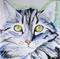 Art: Razzle Dazzle by Artist Padgett Mason