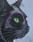 Art: Black Cat Profile by Artist Padgett Mason