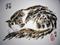 Art: Sleepy Cat #5 by Artist Tracey Allyn Greene