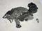 Art: Kitten Roll by Artist Tracey Allyn Greene