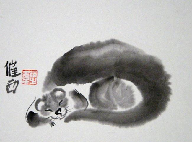 Art: Ferret Asleep by Artist Tracey Allyn Greene