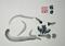 Art: Siamese Asleep by Artist Tracey Allyn Greene
