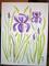 Art: Purple Irises by Artist Tracey Allyn Greene