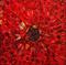 Art: RED GEOMETRY  by Artist LUIZA VIZOLI