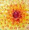Art: RED YELLOW FLOWER by Artist LUIZA VIZOLI