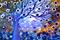 Art: Touched by the Light  by Artist LUIZA VIZOLI