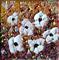 Art:  WHITE FLOWERS Impasto Palette Knife Textured Oil -sold by Artist LUIZA VIZOLI