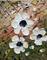 Art: WHITE FLOWERS by Artist LUIZA VIZOLI
