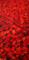 Art: RED POPPIES by Artist LUIZA VIZOLI