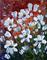 Art: WHITE FLOWERS---GARDEN DELIGHT SERIA  by Artist LUIZA VIZOLI