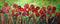 Art: RED POPPIES in the GRASS by Artist LUIZA VIZOLI