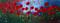 Art: RED POPPIES by Artist LUIZA VIZOLI
