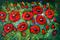 Art: RED FLOWERS in SPRING by Artist LUIZA VIZOLI