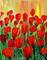 Art: RED TULIPS by Artist LUIZA VIZOLI