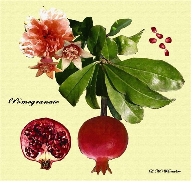 Art: Pomegranate by Artist Lisa Thornton Whittaker