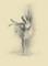 Art: Ballerina by Artist Ewa Kienko Gawlik