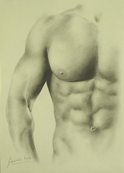 Art: Male Torso by Artist Ewa Kienko Gawlik