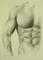 Art: Male Torso by Artist Ewa Kienko Gawlik