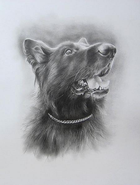 Art: ZEUS by Artist Ewa Kienko Gawlik