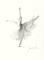 Art: Ballerina by Artist Ewa Kienko Gawlik