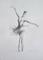 Art: Ballerina by Artist Ewa Kienko Gawlik