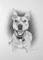 Art: The Dog by Artist Ewa Kienko Gawlik