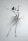 Art: Ballerina by Artist Ewa Kienko Gawlik