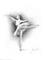 Art: Ballerina by Artist Ewa Kienko Gawlik