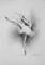 Art: Ballerina by Artist Ewa Kienko Gawlik