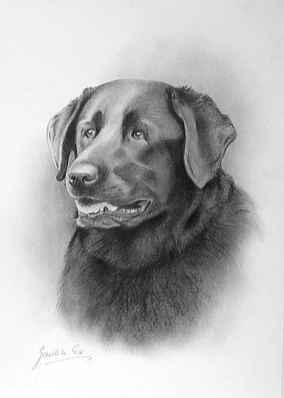 Art: Portrait of the Dog by Artist Ewa Kienko Gawlik