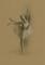 Art: Ballerina by Artist Ewa Kienko Gawlik