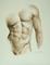Art: Male Torso by Artist Ewa Kienko Gawlik
