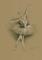 Art: Ballerina by Artist Ewa Kienko Gawlik