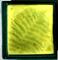 Art: Fern Fused Plate by Artist Deborah Sprague
