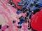 Art: the door (detail) by Artist zeuxis ~ LA Hollins ~z