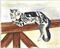 Art: Paws by Artist Marcia Ruby