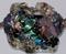 Art: Monet's Waterlily lampwork glass ART Bead by Artist Deborah Sprague