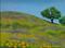 Art: Marin Hill with Poppies by Artist Carmen Gamboa Lienkaemper