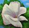 Art: Second Day Bloom by Artist Virginia Ann Zuelsdorf