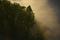 Art: The Light Shines Through by Artist Lisa Miller
