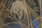 Art: Winter Blues by Artist Lisa Miller