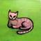 Art: Gatto Rosa by Artist Marina Owens