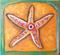 Art: Starfish by Artist Marina Owens