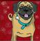 Art: The Pug by Artist Veronique Perron