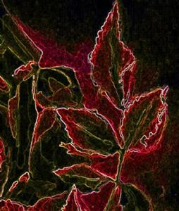 Detail Image for art a rose Detail Image for art a rose