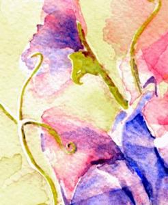 Detail Image for art Sweet Peas - private collection