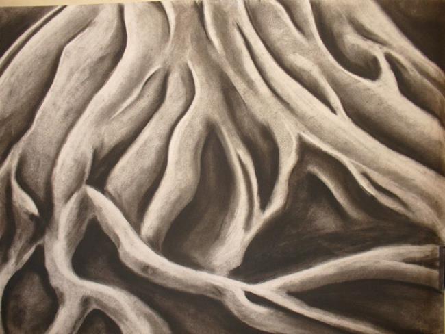 Tree Roots - by Carroll from Abstract Representational Art Gallery